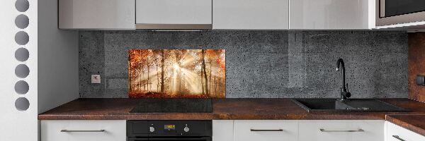 Kitchen splashback Fog in the Forest Autumn