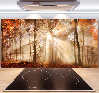 Kitchen splashback Fog in the Forest Autumn