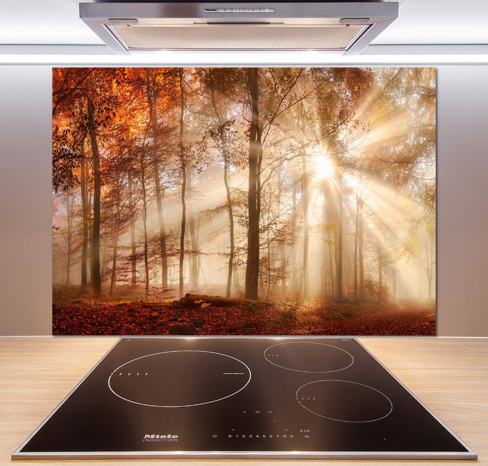 Kitchen splashback Fog in the Forest Autumn