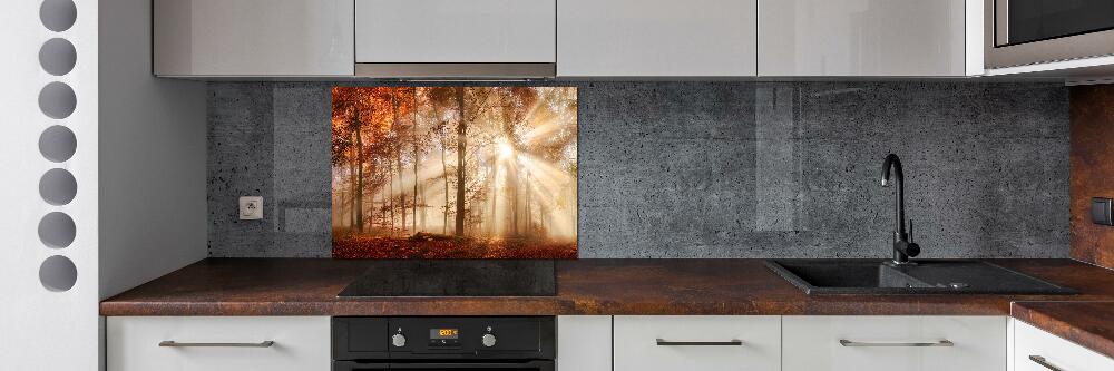 Kitchen splashback Fog in the Forest Autumn