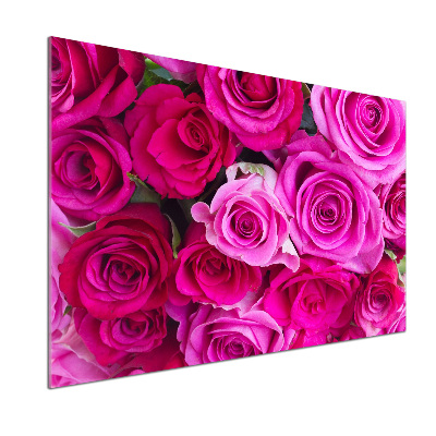 Hob splashback A bouquet of pink roses