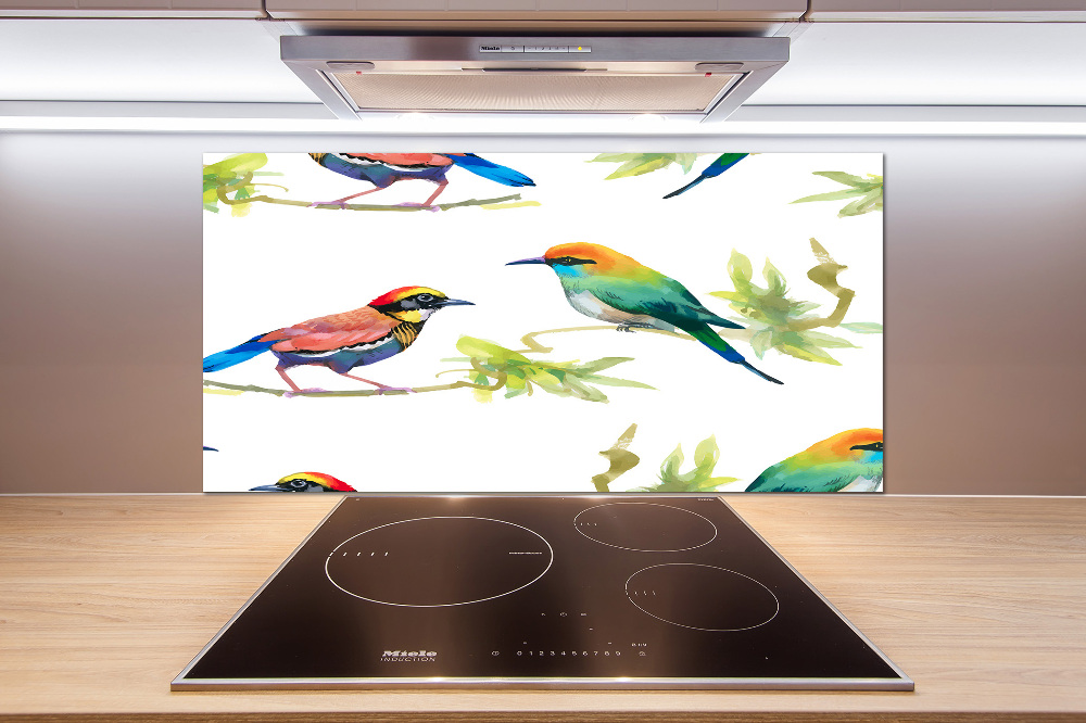 Kitchen splashback Exotic birds