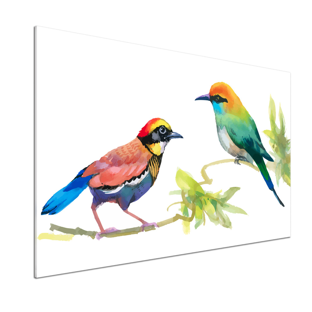 Kitchen splashback Exotic birds