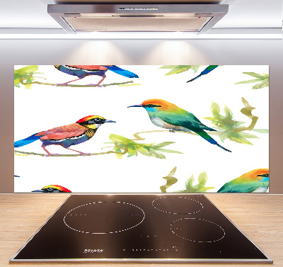 Kitchen splashback Exotic birds