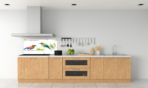 Kitchen splashback Exotic birds