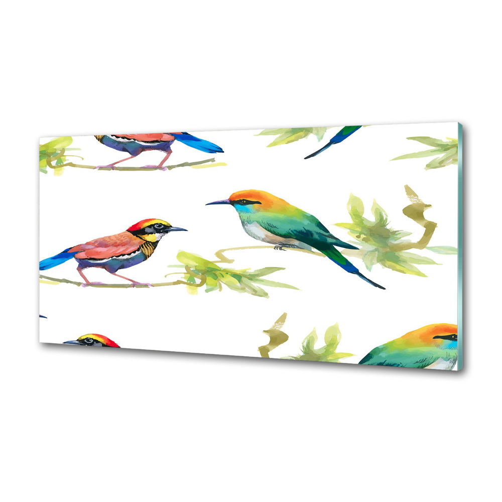 Kitchen splashback Exotic birds