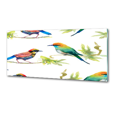 Kitchen splashback Exotic birds