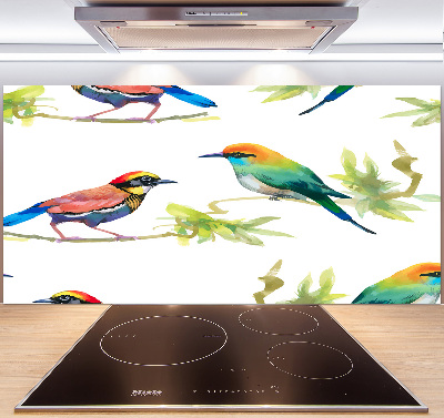 Kitchen splashback Exotic birds