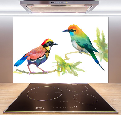 Kitchen splashback Exotic birds