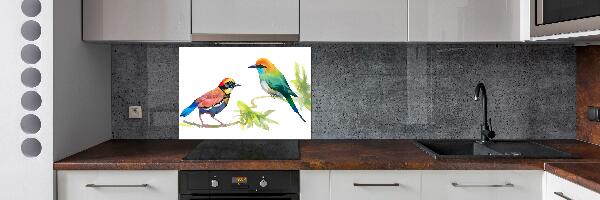 Kitchen splashback Exotic birds