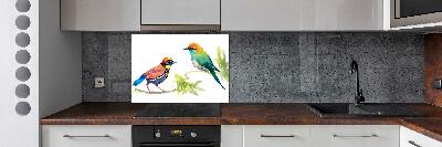 Kitchen splashback Exotic birds