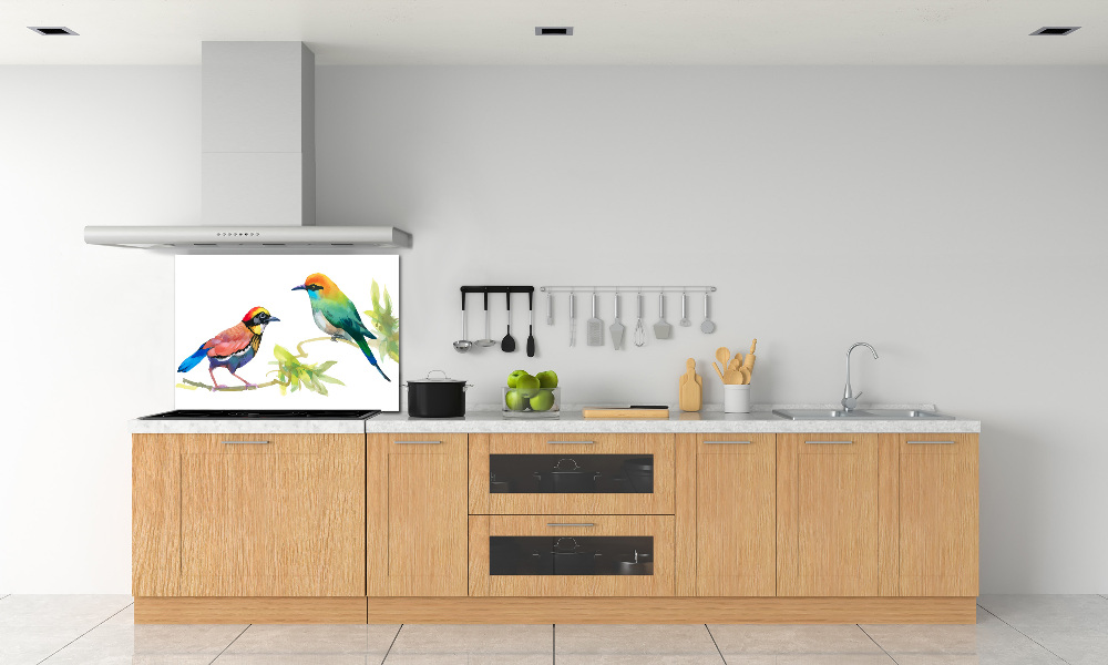 Kitchen splashback Exotic birds