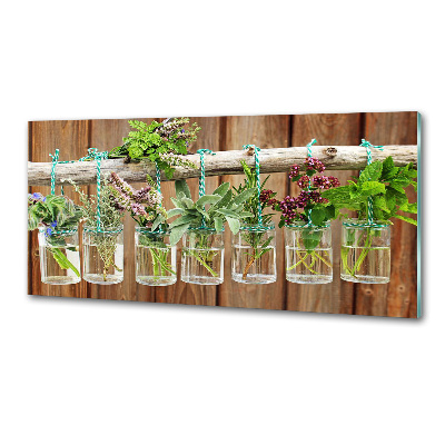 Cooker splashback Herbs in jars