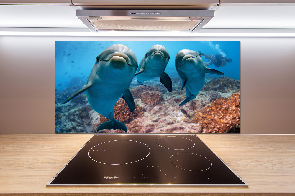 Glass splashback Dolphins