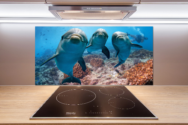 Glass splashback Dolphins