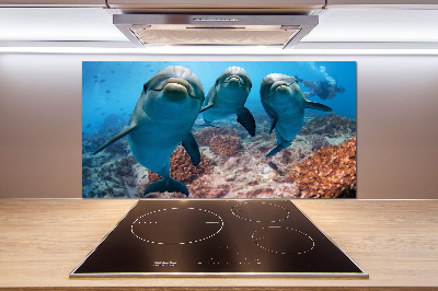 Glass splashback Dolphins