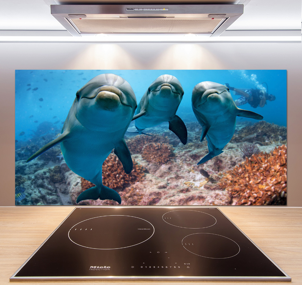 Glass splashback Dolphins