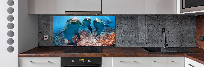 Glass splashback Dolphins