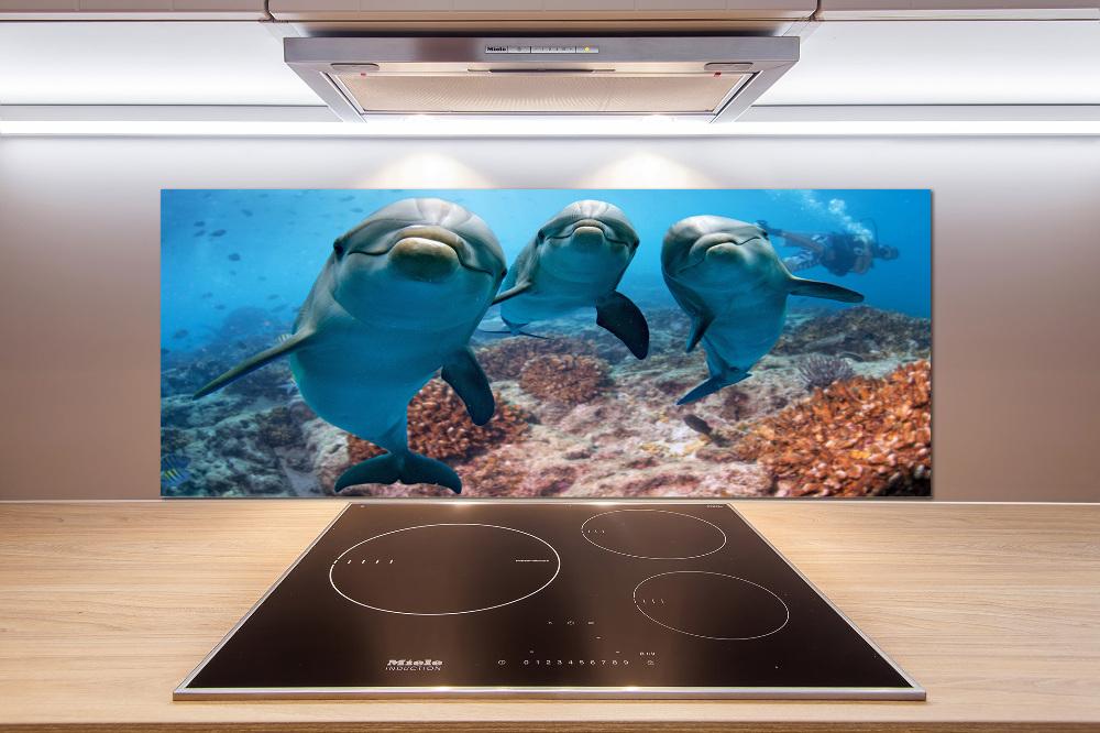 Glass splashback Dolphins