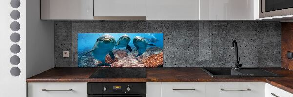 Glass splashback Dolphins