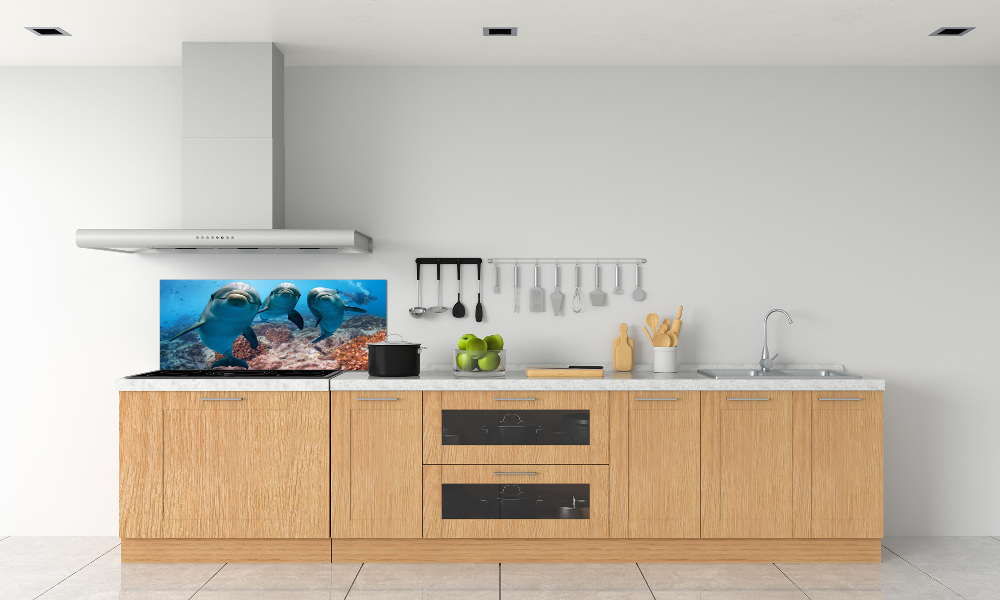 Glass splashback Dolphins