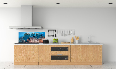 Glass splashback Dolphins