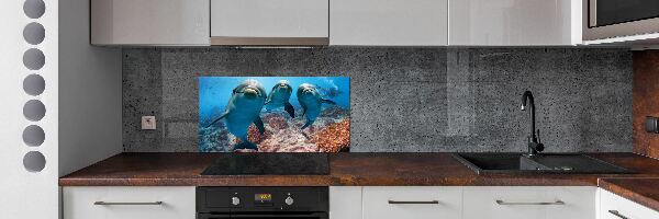 Glass splashback Dolphins