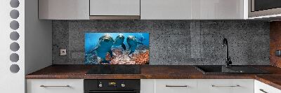 Glass splashback Dolphins