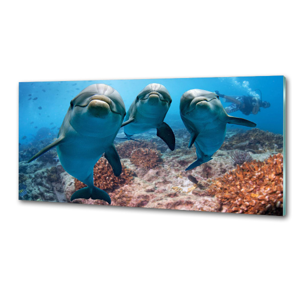 Glass splashback Dolphins