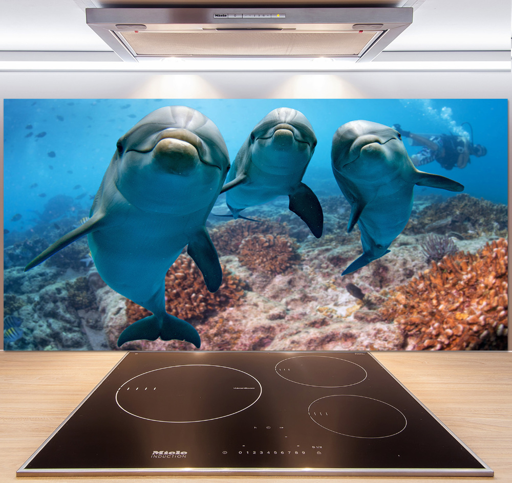 Glass splashback Dolphins