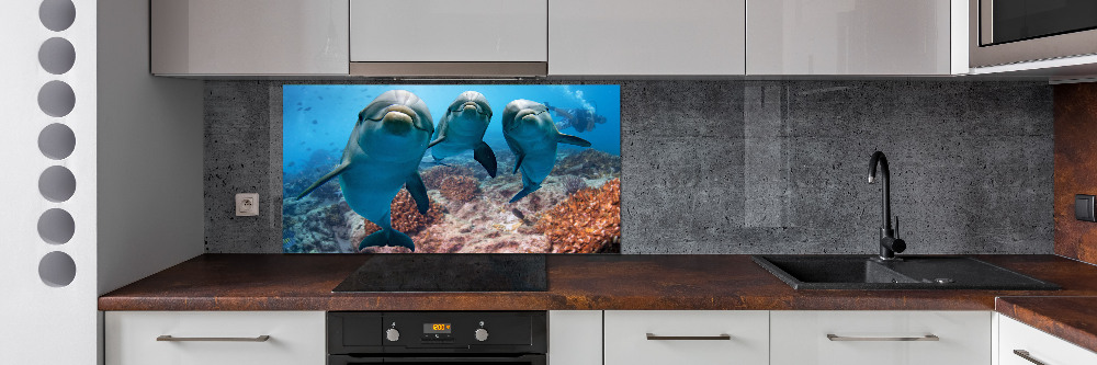 Glass splashback Dolphins