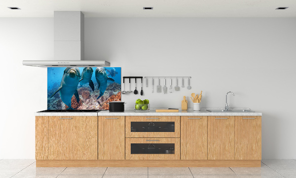 Glass splashback Dolphins