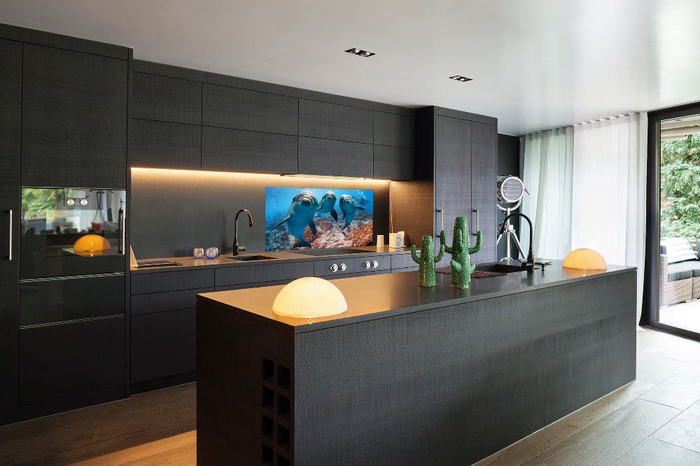 Glass splashback Dolphins