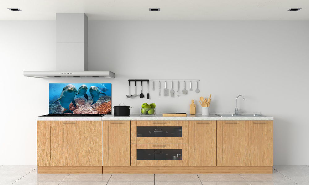 Glass splashback Dolphins