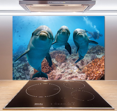 Glass splashback Dolphins