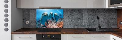 Glass splashback Dolphins