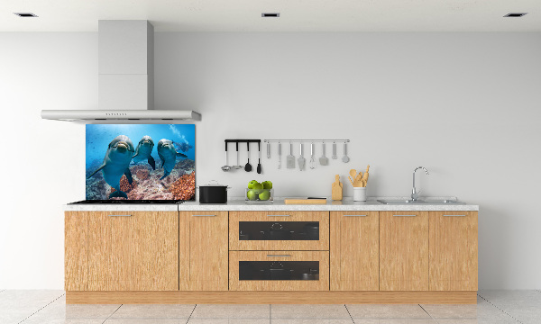 Glass splashback Dolphins