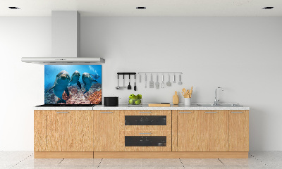 Glass splashback Dolphins