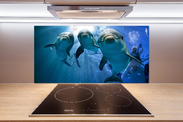 Cooker splashback Three dolphins