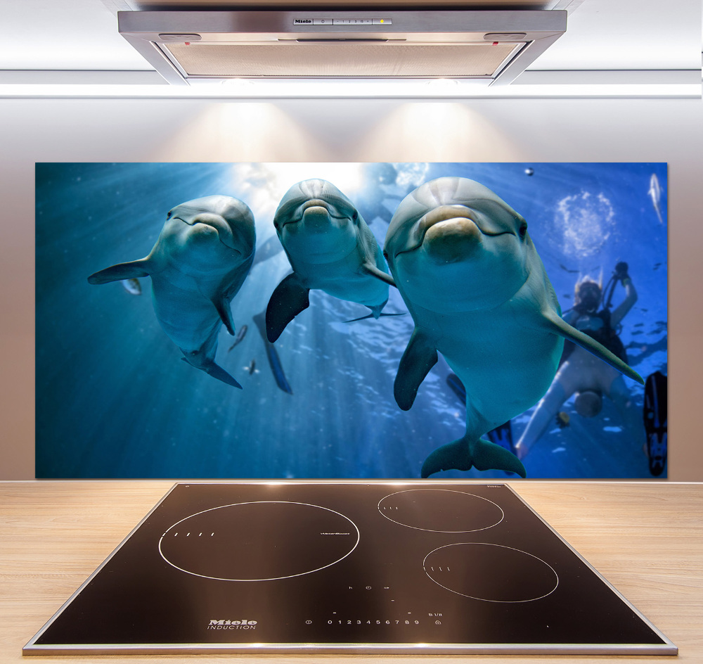 Cooker splashback Three dolphins