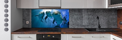 Cooker splashback Three dolphins