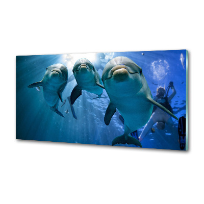 Cooker splashback Three dolphins