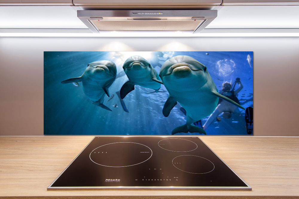 Cooker splashback Three dolphins