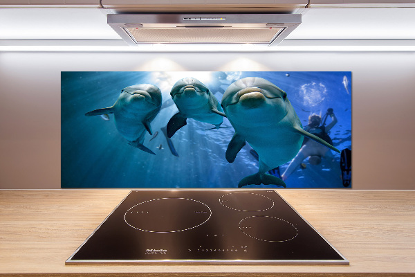 Cooker splashback Three dolphins