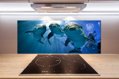 Cooker splashback Three dolphins