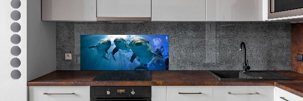 Cooker splashback Three dolphins