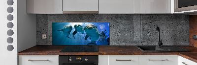 Cooker splashback Three dolphins