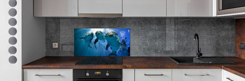 Cooker splashback Three dolphins