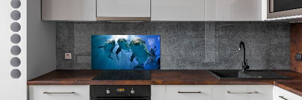 Cooker splashback Three dolphins