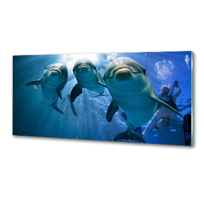 Cooker splashback Three dolphins